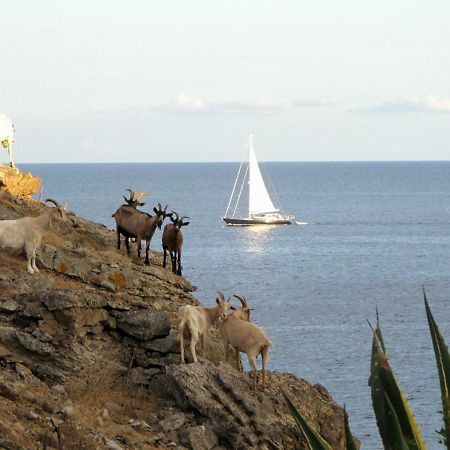 Isola D'Elba Come In Barca, A Un Tuffo Dal Mare Capoliveri (Isola d'Elba) Exterior foto