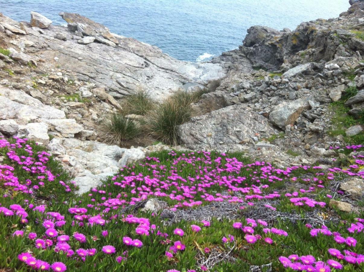 Isola D'Elba Come In Barca, A Un Tuffo Dal Mare Capoliveri (Isola d'Elba) Exterior foto