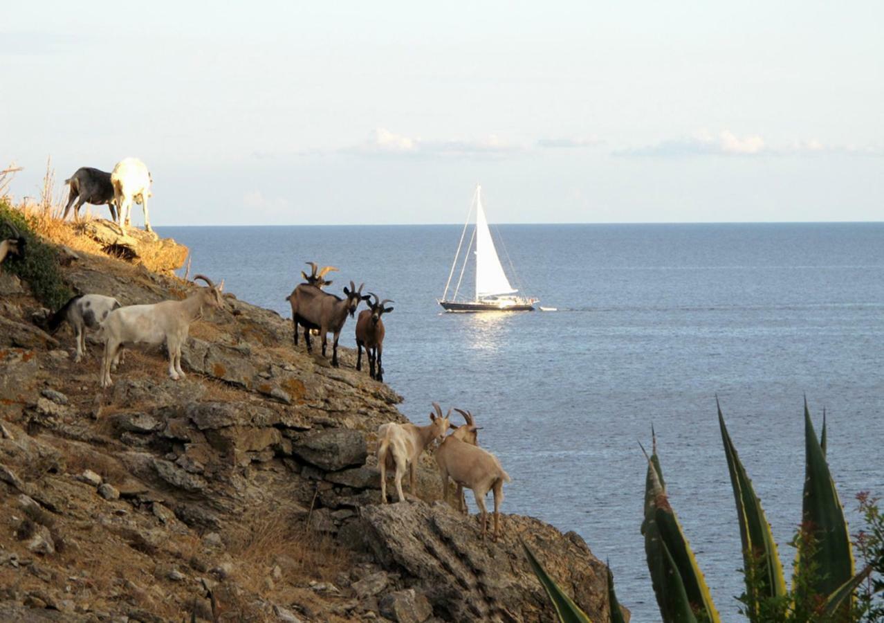 Isola D'Elba Come In Barca, A Un Tuffo Dal Mare Capoliveri (Isola d'Elba) Exterior foto